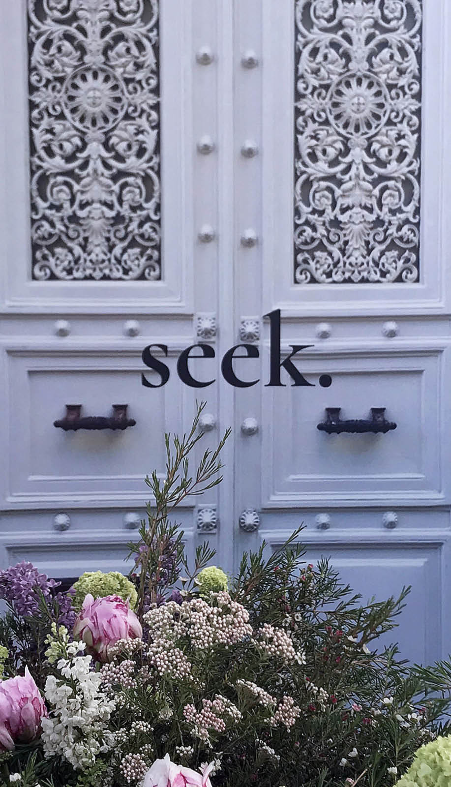 Seek_Find_Doors_-_Seek_fmt